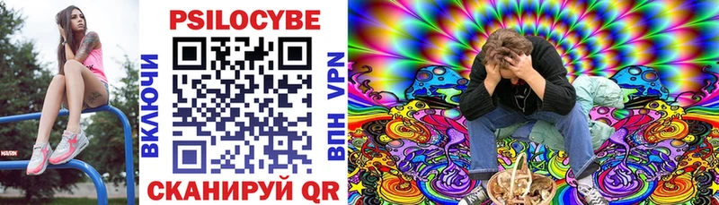 Купить Карасук Галлюциногенные грибы Cubensis